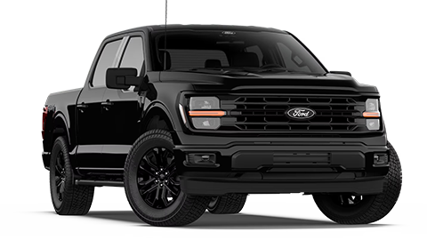 Santee Ford in Manning SC