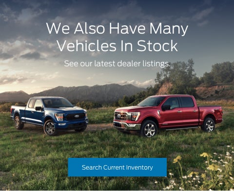 Ford vehicles in stock | Santee Ford in Manning SC