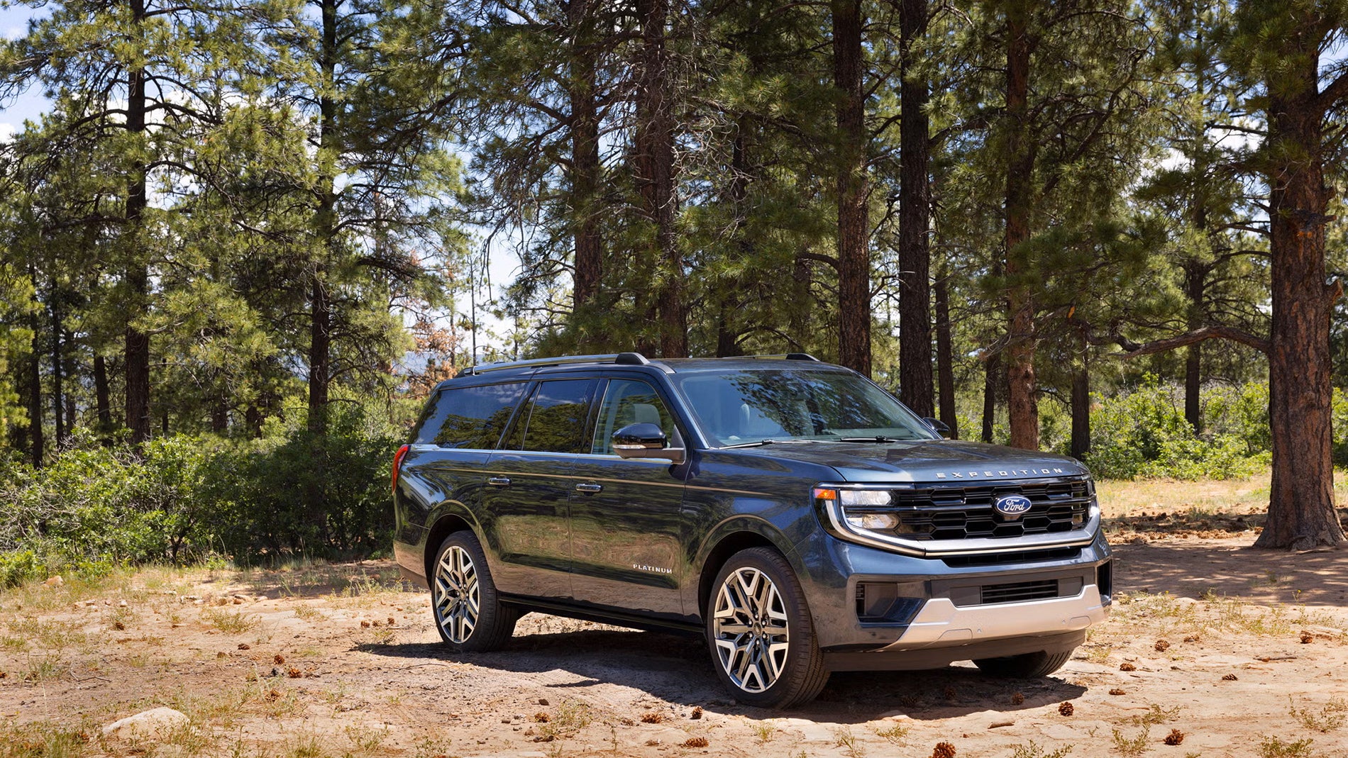 /static/dealer-16052/m2seo/2025-ford-expedition-platinum-ultimate-exterior-106-66fadf146c5b0.jpg